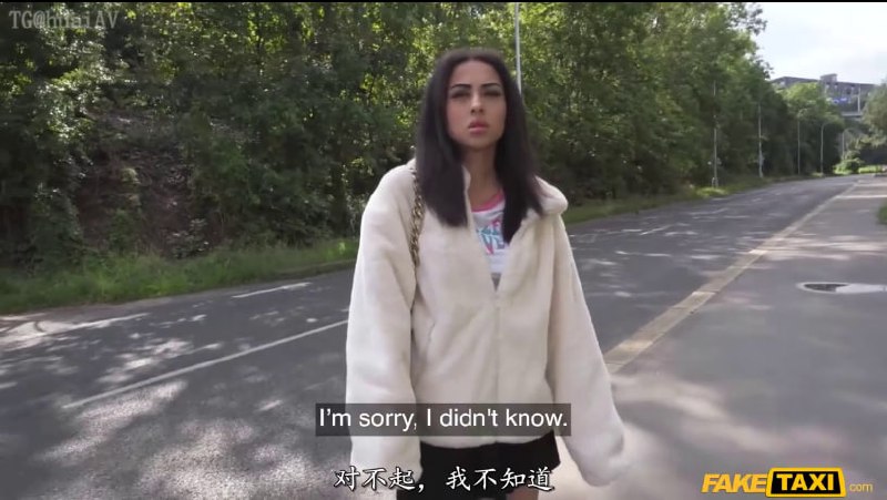【捷克街头】217开出租车搭讪街边女子上车直接开干