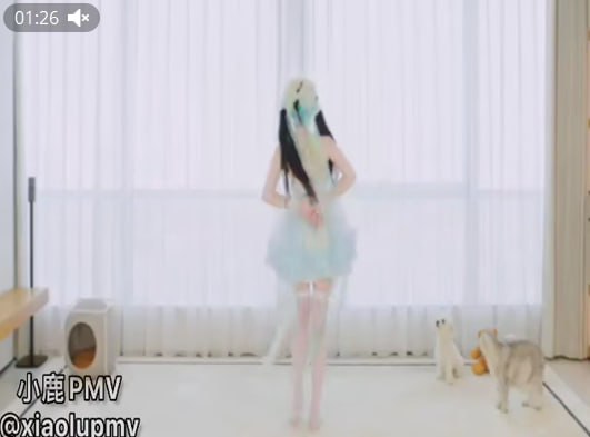 今日份小黄歌奉送，咬人猫也算是个老阿姨了吧，还挺有味道的🤣