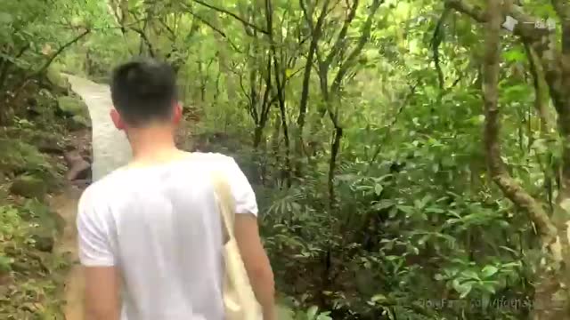 湿湿：山林相遇 戏水情欢