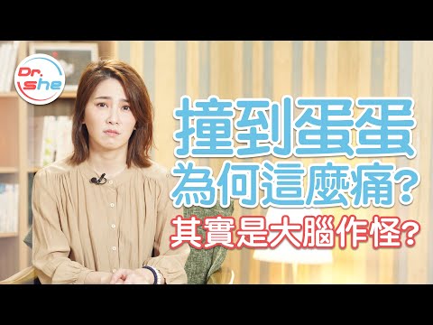 撞到蛋蛋」为何这么痛！ 「爱到蛋疼」居然是真的？ #DrShe许蓝方