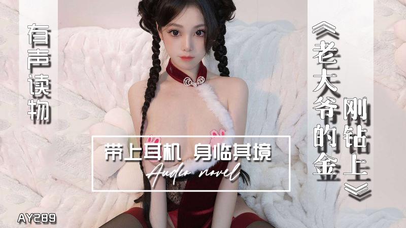 AY289-有声小说-老大爷的金刚钻上