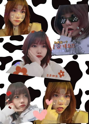 会叫床的淫荡反差女友