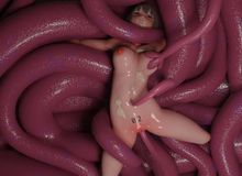 Expt.023 Tentacles learning to taste girls