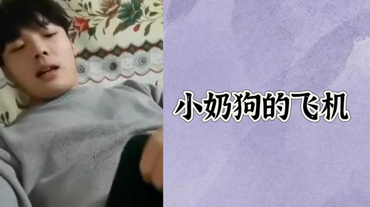小奶狗的飞机