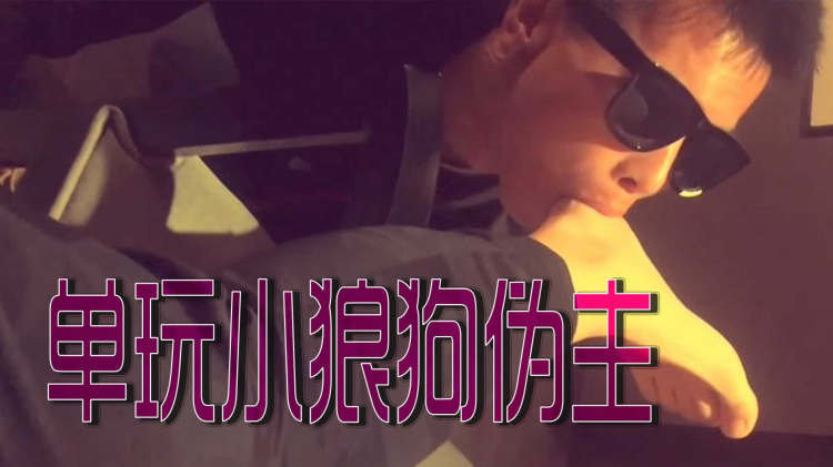 单玩小狼狗伪主