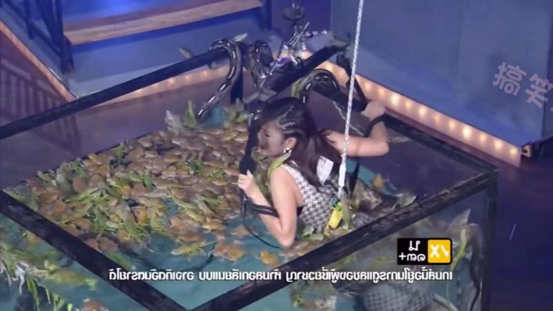 泰国奇葩综艺 与小动物们在鱼缸里嬉戏！！！