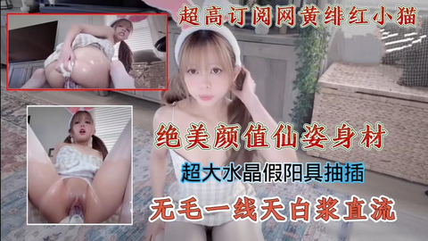 超高订阅网黄绯红小猫绝美颜值仙姿身材,超大水晶假阳具抽插无毛一线天白浆直流