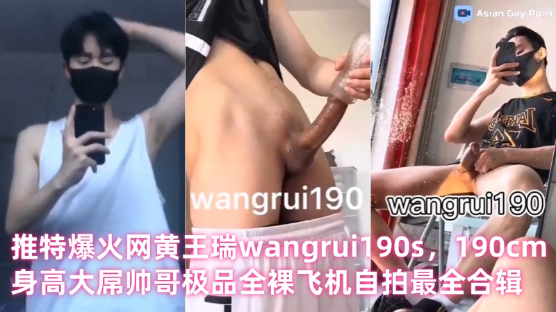推特爆火网黄王瑞wangrui190s，190cm身高大屌帅哥极品全裸飞机自拍最全24min合辑