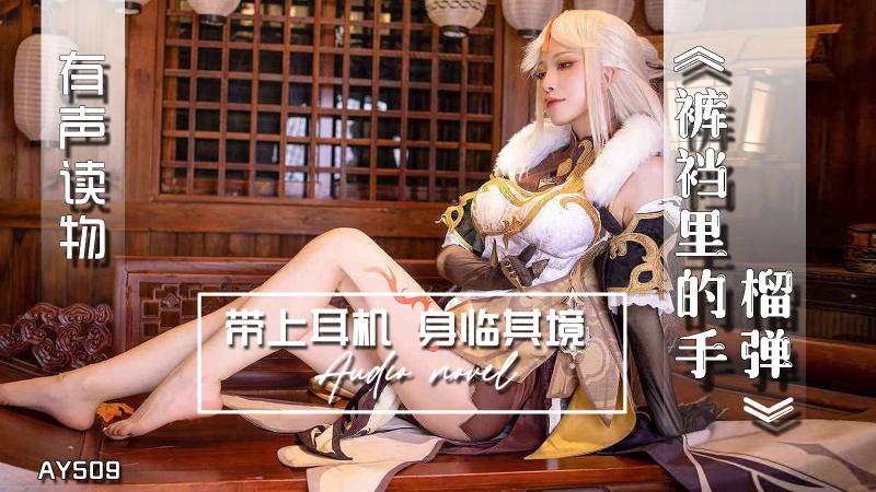 AY;:509-有声小!说-裤裆里的-手榴弹
