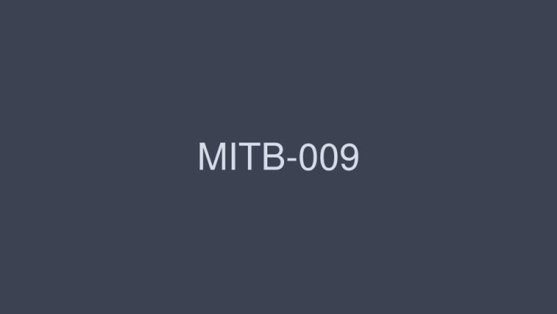 MITB-009 Iionna 的严重口交喜欢吸 2 18 人 4 小时 - 西野翔
