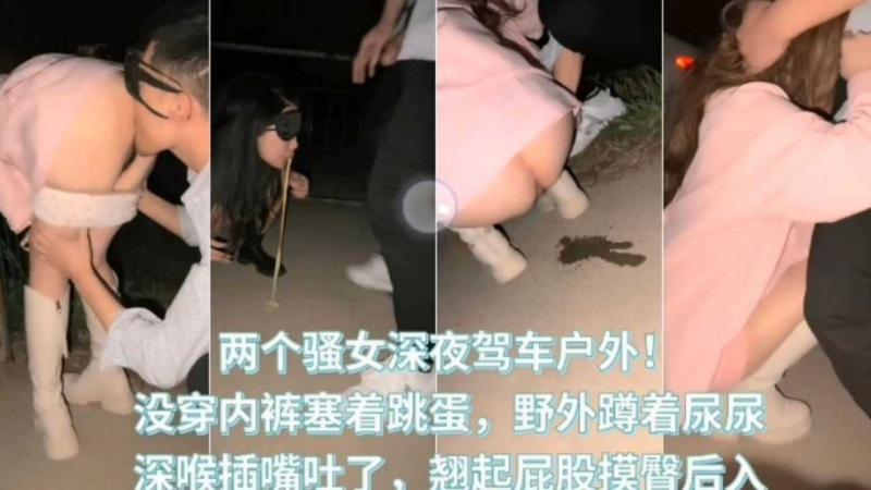 两个骚女深夜驾车户外没穿内裤野外被后入