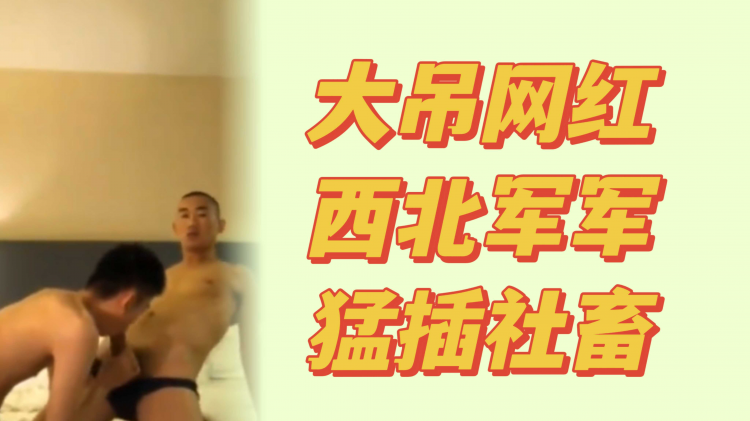 网红西北;军军草社畜