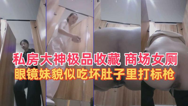 私房大神极品收藏商场女厕全景眼镜妹貌似吃坏肚子里打标枪