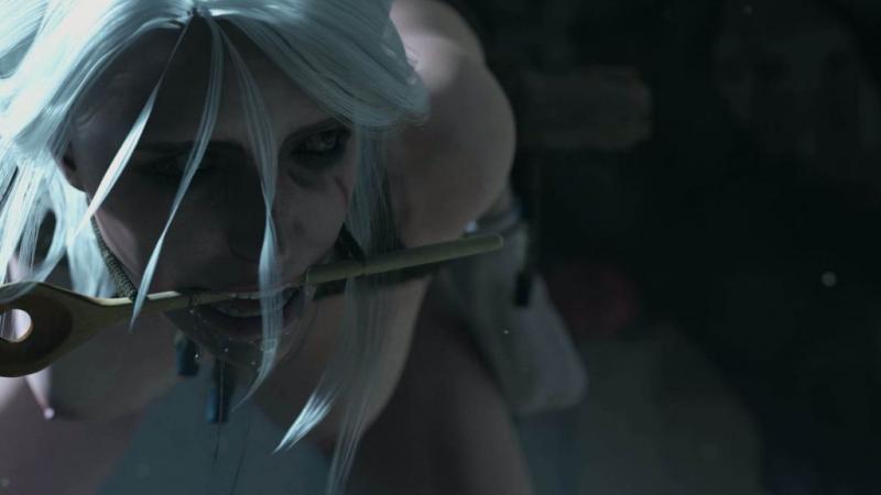 [Fatcat17] Ciri Cottage predicament part 1