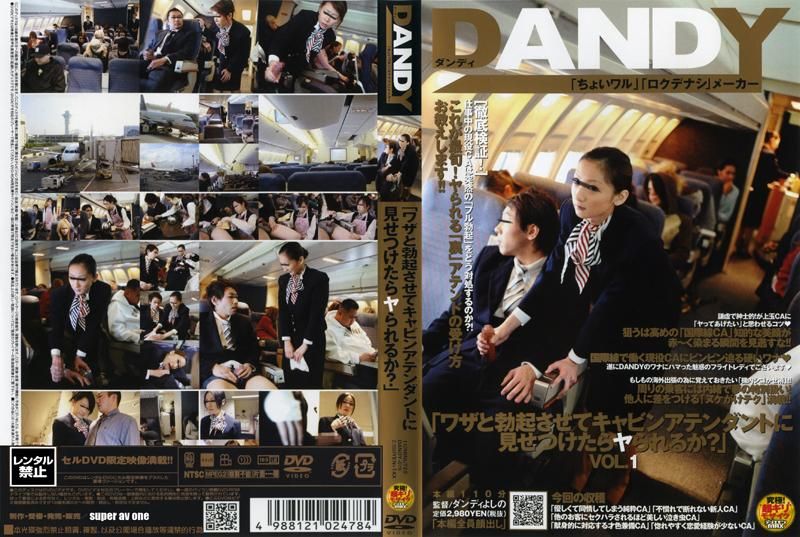 “如果我故_@意_!勃_起并展示给空姐看，她会和我发生性关系吗？+” DANDY -079