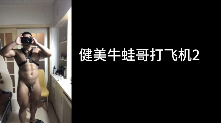 健美牛蛙哥打飞机2