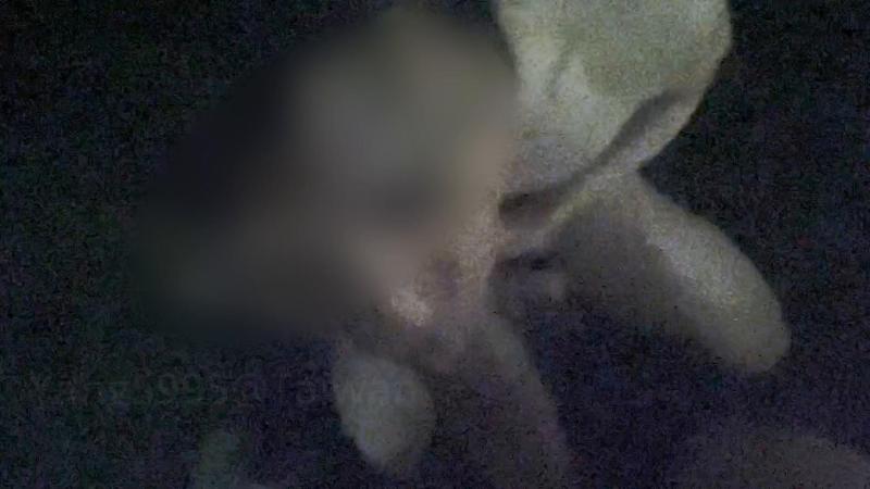 羊yang的打砲日记_在深夜的河滨公园角落吃大屌