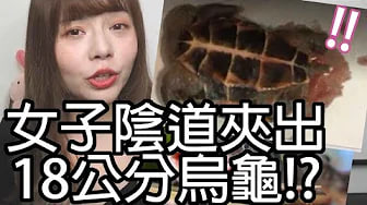 【性学小教室44】阴道里面夹出18公分乌龟？！｜阴道可以塞入多大的东西？