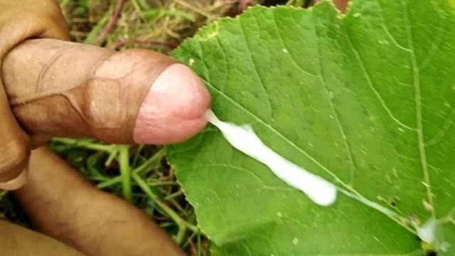 户外男士热辣印度手淫