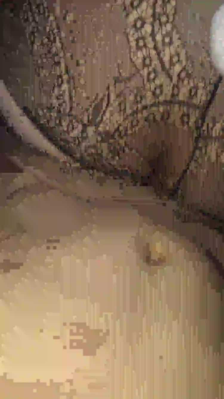 丝袜母狗被后入