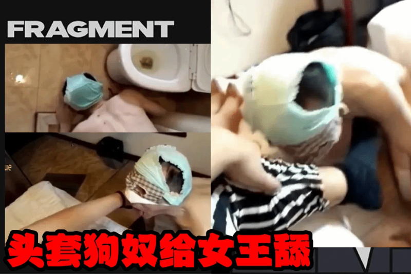 美人妻调教狗奴内裤套头舔脚足舔逼舔屁