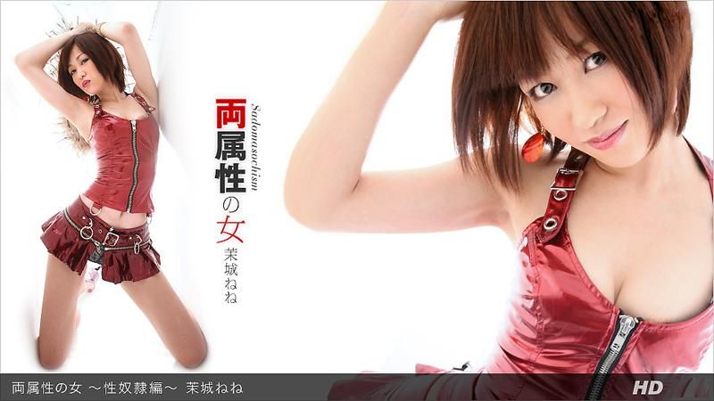 两种属性的女人 ～性奴隶篇～ _1pondo_062012_365