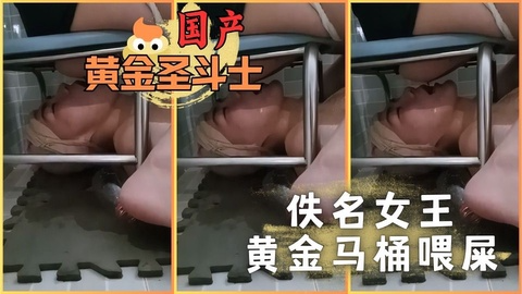 佚名女王黄金马桶喂屎