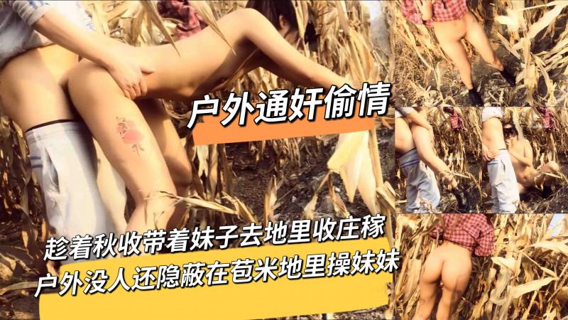 趁着秋收带着妹子去地里收庄稼户外没人还隐蔽在苞米地里操妹妹