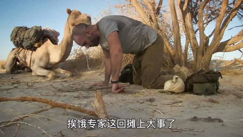 挨饿德这回摊上大事了