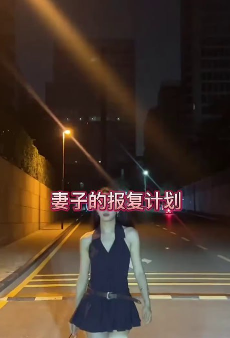妻子的报复计划 剧情