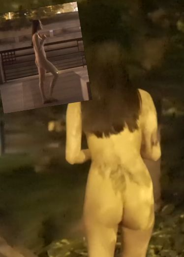 夜行公园
