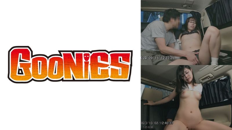 流出行车纪录器车内不伦性交映像#02 530DG-304