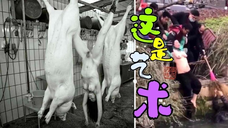 【劲爆[ [来袭】各种重口瓜料/合集
