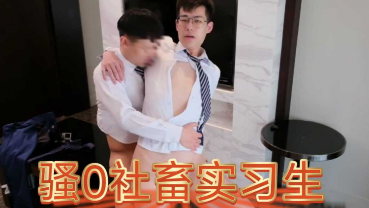 骚0社畜实习生