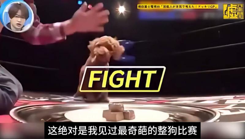 日本奇葩综艺整狗比赛，主题名为绝对不能吃挑战赛