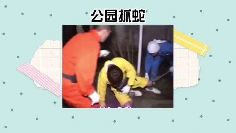 被蛇咬后竟然坐在那里涂药膏，笑死我了，哈哈哈哈。#综艺名场面