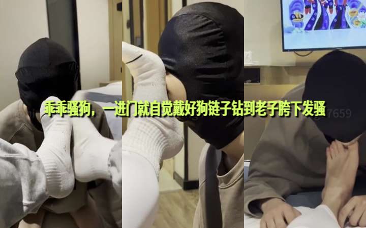 粗口调教骚狗原创：长沙出差的乖乖骚狗，一进门就自觉戴好狗链子钻到老子胯下发骚