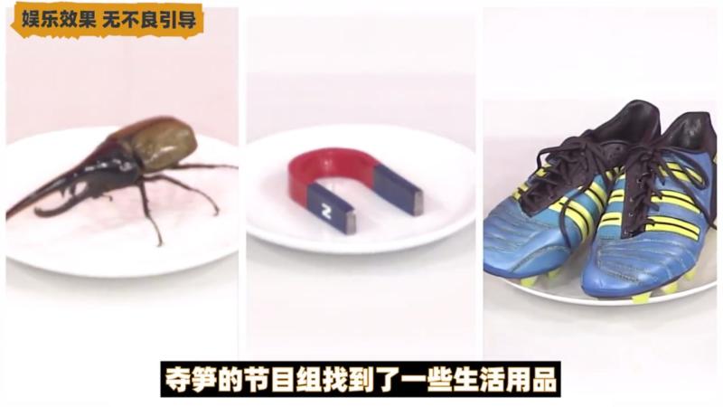 日本整活综艺，难以分辨的物品1