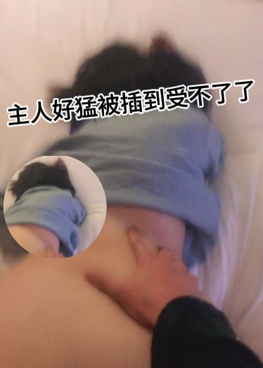 主人好勐被插到受不了了