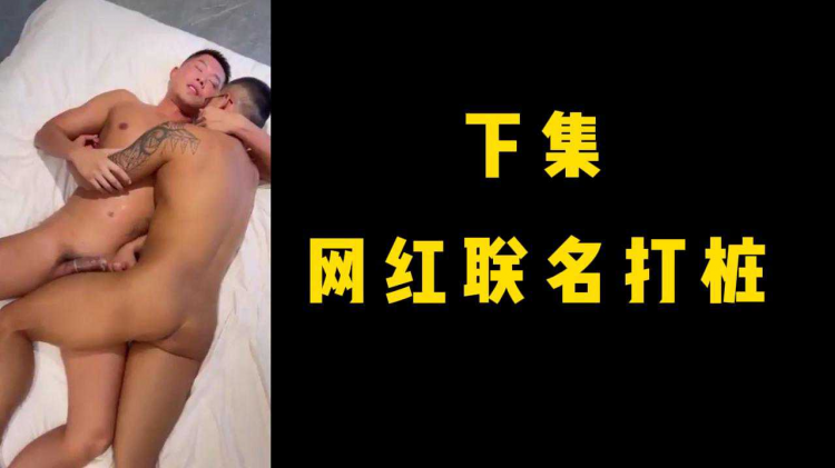 下集-网红联名打桩