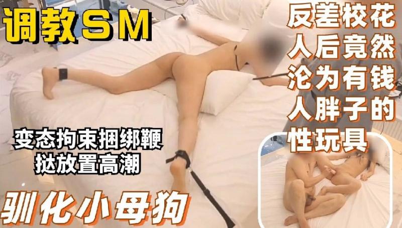 调教抖M小母狗反差校花人后竟然沦为有钱人胖子的性玩具