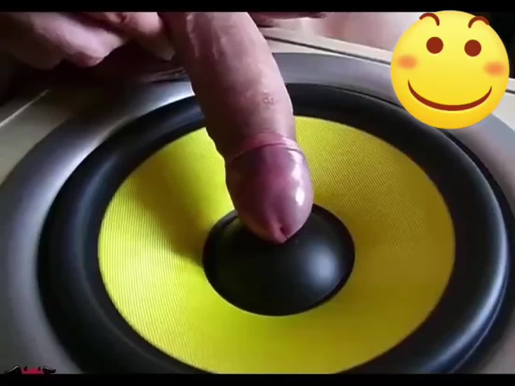 鸡巴交响乐