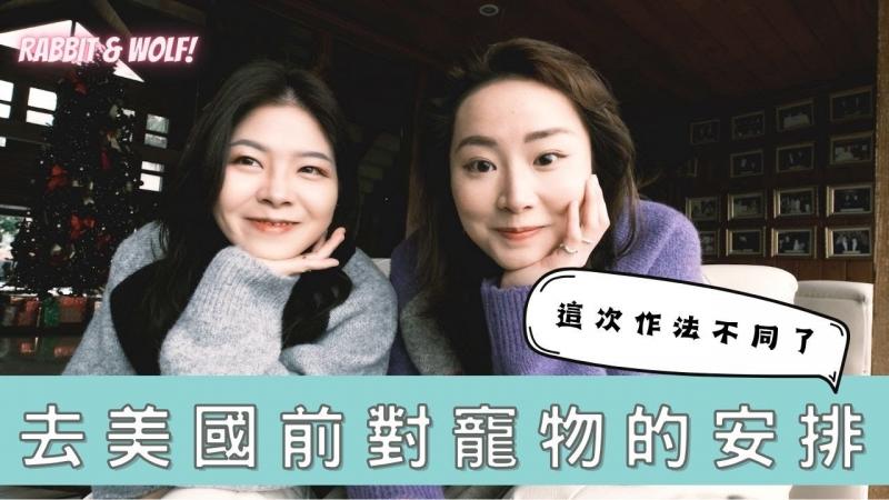 去美国前对宠物的安排｜这次作法不同｜出任务的感觉越来越强烈｜兔女狼
