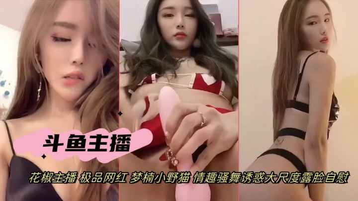 抖音网红女主播梦楠小野猫情趣骚舞道具自慰诱惑露自慰