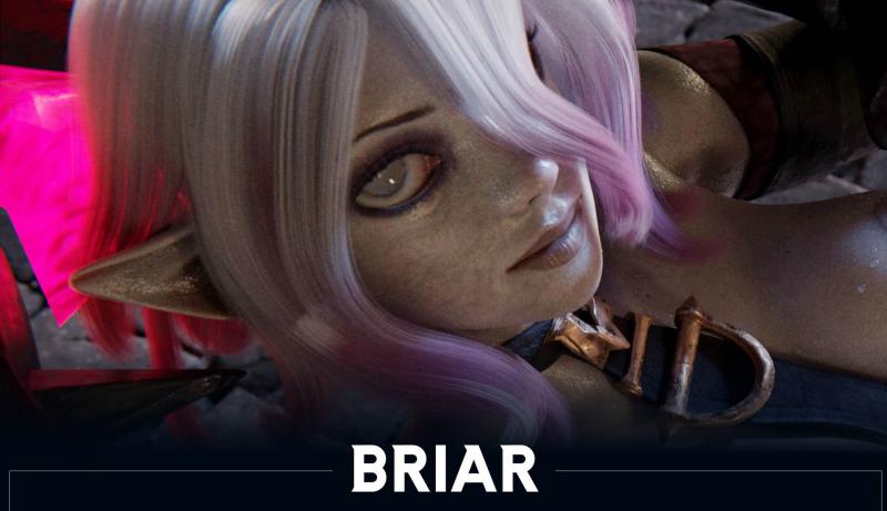 [CHIKIPIKO]BRIAR 4k