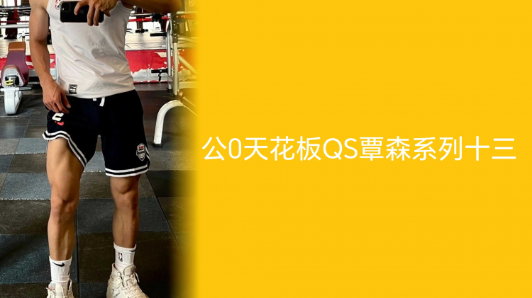 公0天花板QS覃森系列十三