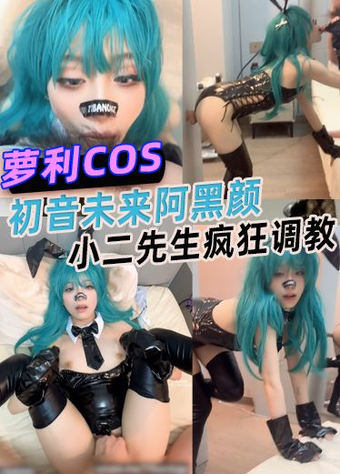 初音未来阿黑颜小二先生疯狂调教