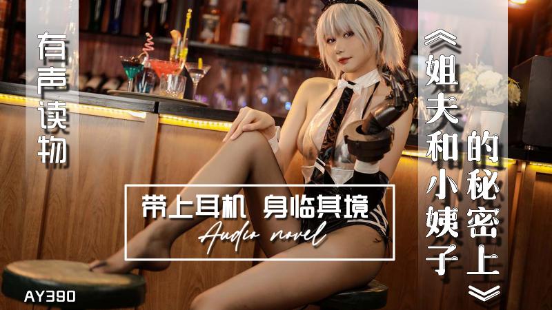 AY390-有声小说-姐夫和小姨子的秘密上
