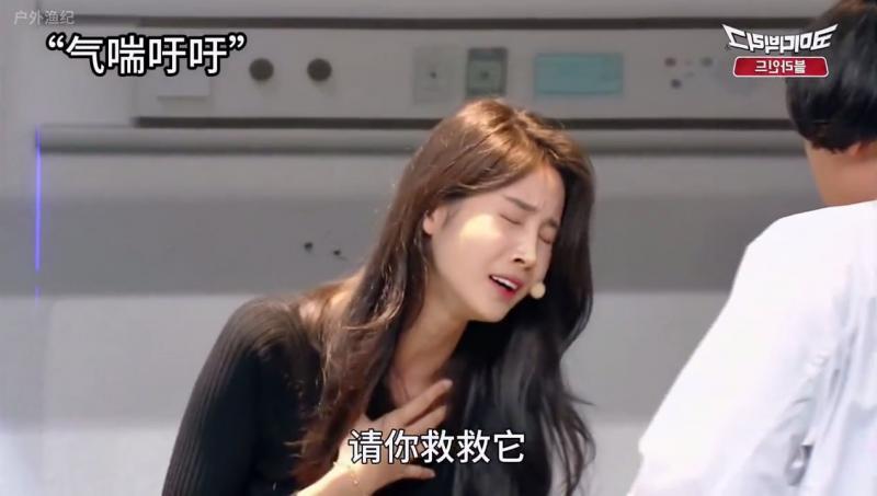 韩国奇葩综艺救狗还是救人