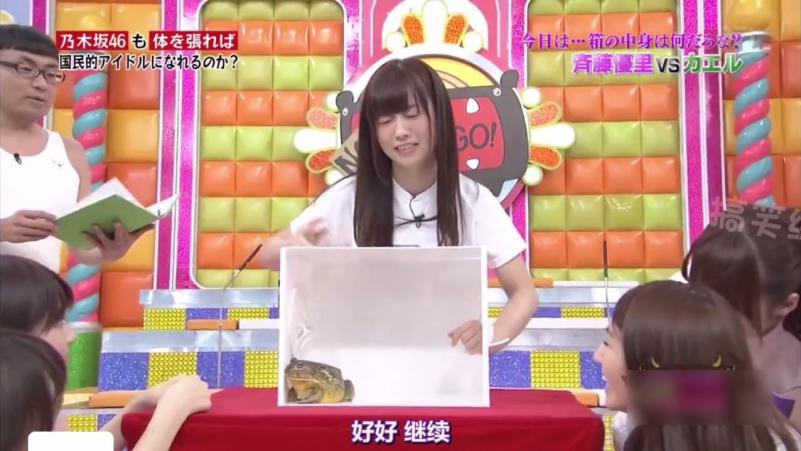 盲盒猜物！！！
